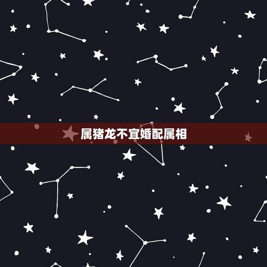 属猪龙不宜婚配属相,属猪的属相婚配表 属猪龙不宜婚配属相,属猪的属相婚配表