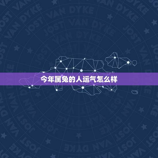 今年属兔的人运气怎么样，属兔的今年运气怎样