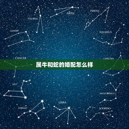 属牛和蛇的婚配怎么样,属牛和属蛇的人合不合 属牛和蛇的婚配怎么样,属牛和属蛇的人合不合