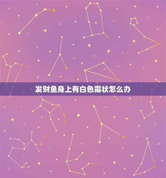 发财鱼身上有白色霜状怎么办,发财鱼全身变白,还长出了一个个白斑点,有种 发财鱼身上有白色霜状怎么办,发财鱼全身变白,还长出了一个个白斑点,有种