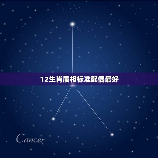 12生肖属相标准配偶最好，十二生肖最佳配偶