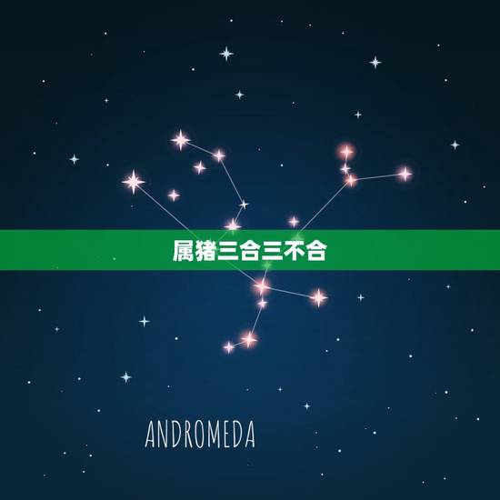 属猪三合三不合，属猪和什么不合