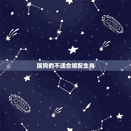 属狗的不适合婚配生肖 属狗的不适合婚配生肖
