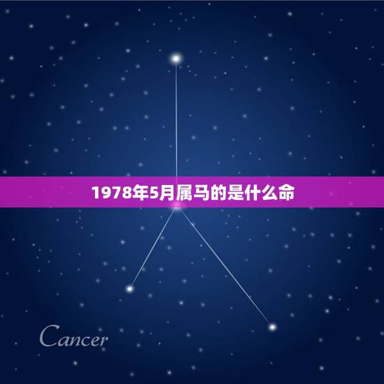 1978年5月属马的是什么命,1978年属马的到底是火命还是土命 1978年5月属马的是什么命,1978年属马的到底是火命还是土命