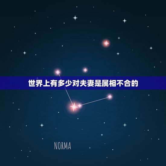 世界上有多少对夫妻是属相不合的，两人属相不合就不可以在一起结婚的吗？我