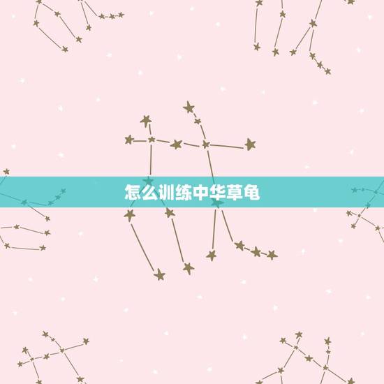 怎么训练中华草龟,中华草龟要怎么养? 怎么训练中华草龟,中华草龟要怎么养?