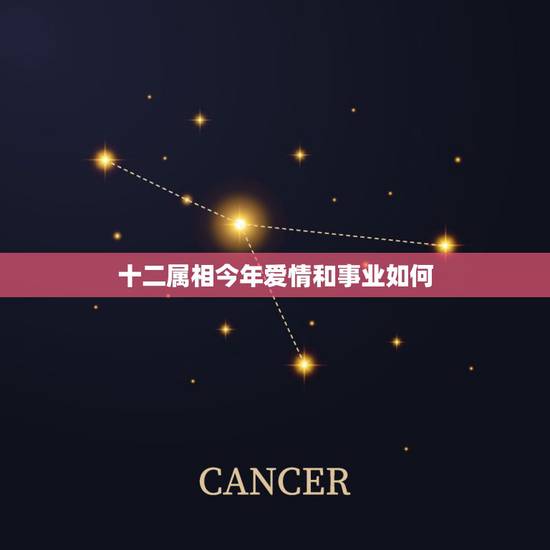 十二属相今年爱情和事业如何,85年11月16日早上7点出生的人是什么命 十二属相今年爱情和事业如何,85年11月16日早上7点出生的人是什么命