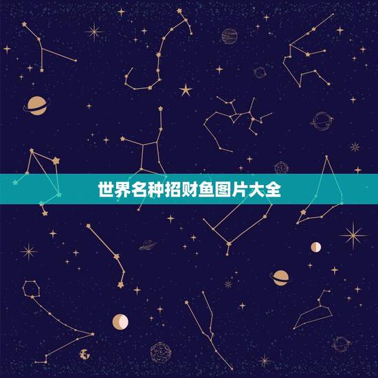 世界名种招财鱼图片大全,招财鱼 有多少种呢 世界名种招财鱼图片大全,招财鱼 有多少种呢