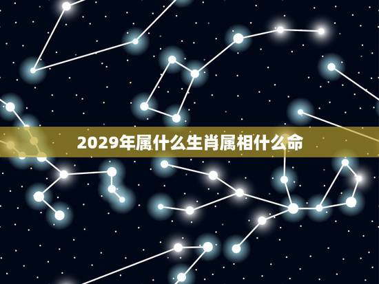 2029年属什么生肖属相什么命,2029年属什么 2029年属什么生肖属相什么命,2029年属什么