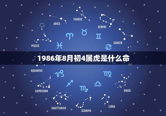 1986年8月初4属虎是什么命，86年虎哪年才开始发财