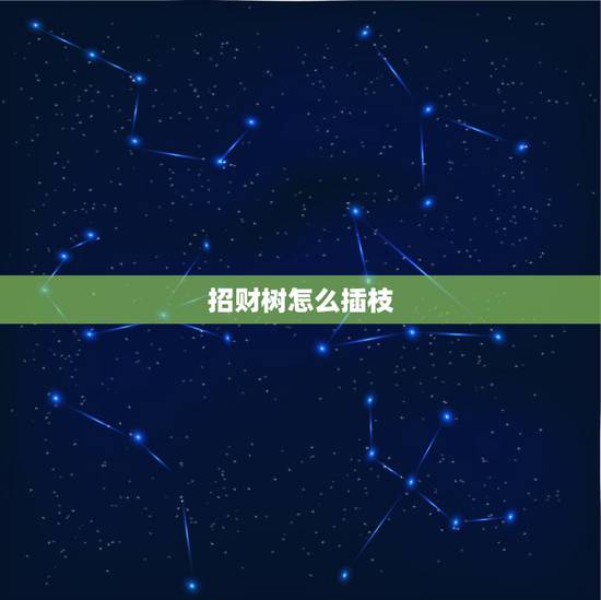 招财树怎么插枝,招财树能扦插活么? 招财树怎么插枝,招财树能扦插活么?