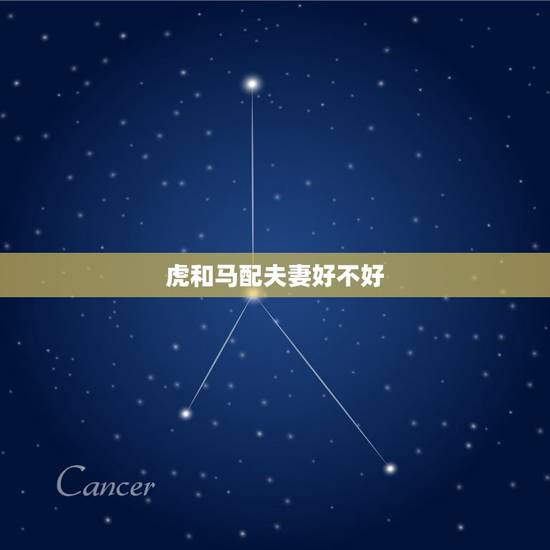 虎和马配夫妻好不好，86年女属虎配90年的马