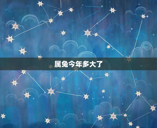 属兔今年多大了，属兔今年多大年龄2022