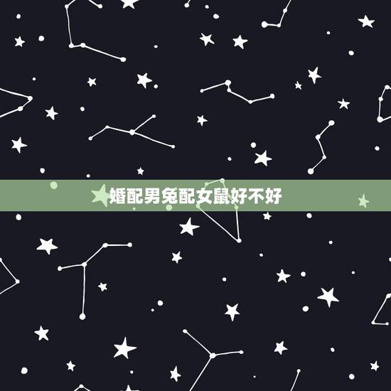 婚配男兔配女鼠好不好,生肖男兔女鼠做夫妻配吗? 婚配男兔配女鼠好不好,生肖男兔女鼠做夫妻配吗?