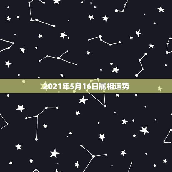 2021年5月16日属相运势,2021属相全年运势 2021年5月16日属相运势,2021属相全年运势