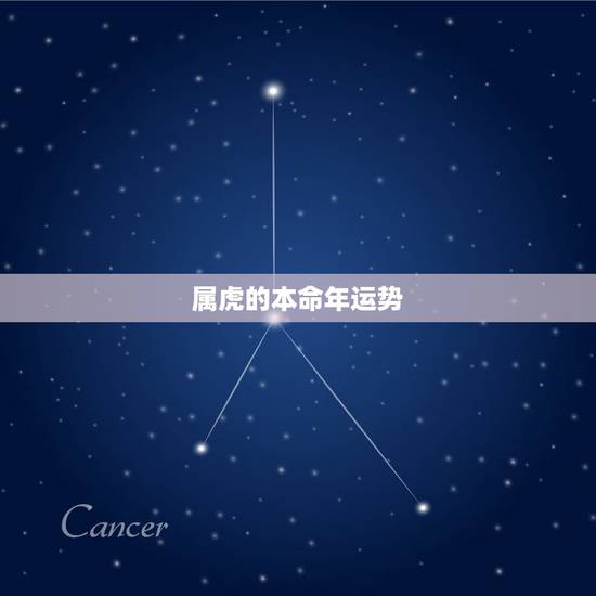 属虎的本命年运势,属虎36岁本命年很可怕 属虎的本命年运势,属虎36岁本命年很可怕