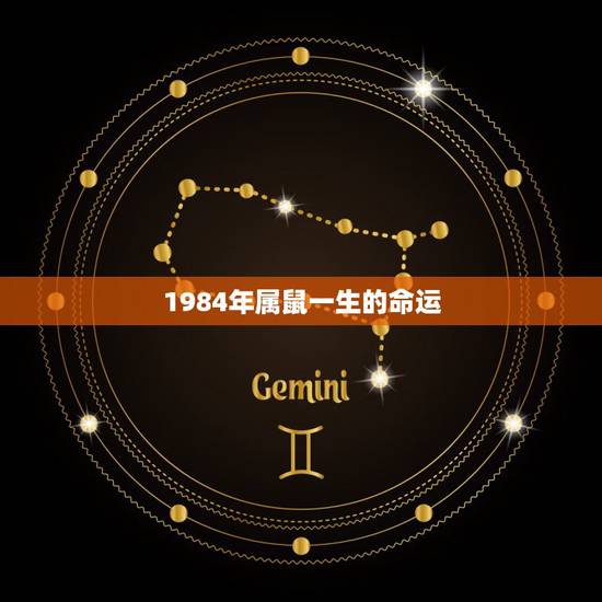 1984年属鼠一生的命运，1984年鼠人一生命运