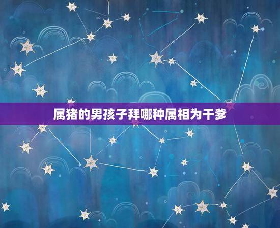 属猪的男孩子拜哪种属相为干爹，2007年属猪找什么属相的认干爹干妈好