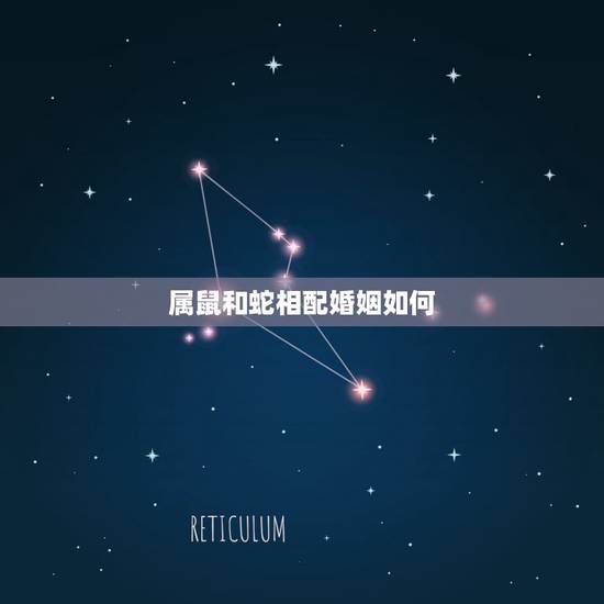 属鼠和蛇相配婚姻如何，属鼠和属马的婚姻怎么样