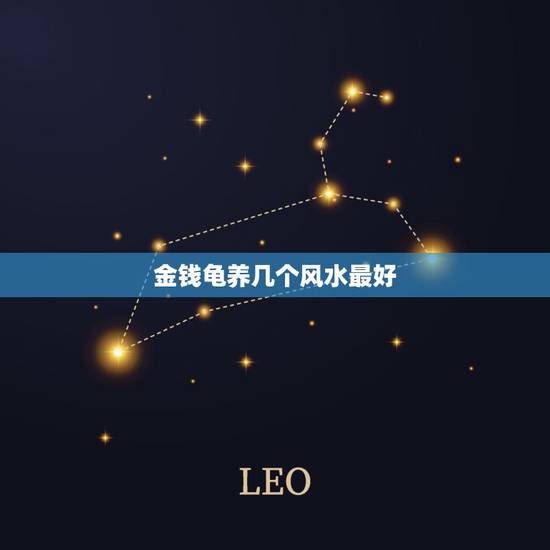 金钱龟养几个风水最好,在家里养金钱龟有什么风水作用? 金钱龟养几个风水最好,在家里养金钱龟有什么风水作用?