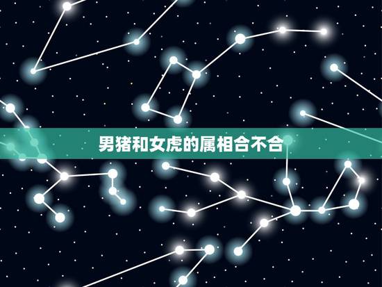 男猪和女虎的属相合不合,男属猪和女属虎相配吗? 男猪和女虎的属相合不合,男属猪和女属虎相配吗?