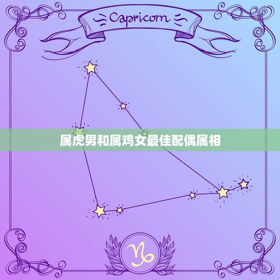 属虎男和属鸡女最佳配偶属相，属虎男和属鸡女要个什么属相的孩子好