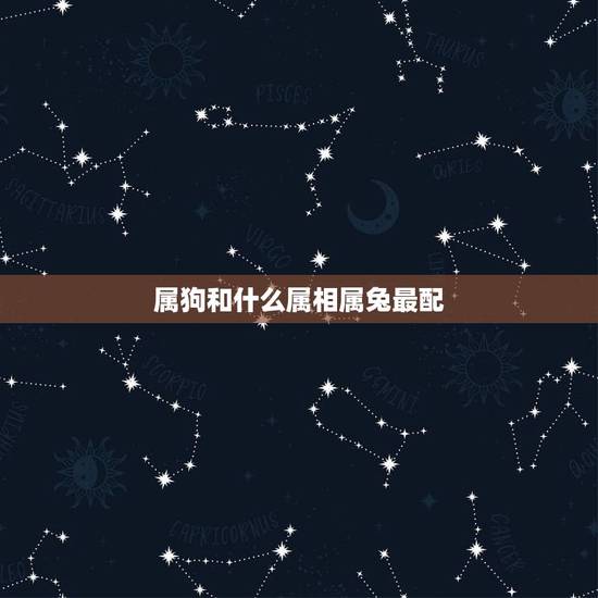 属狗和什么属相属兔最配，属相狗和什么属相最配