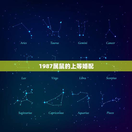 1987属鼠的上等婚配,1987年属兔的婚配 1987属鼠的上等婚配,1987年属兔的婚配
