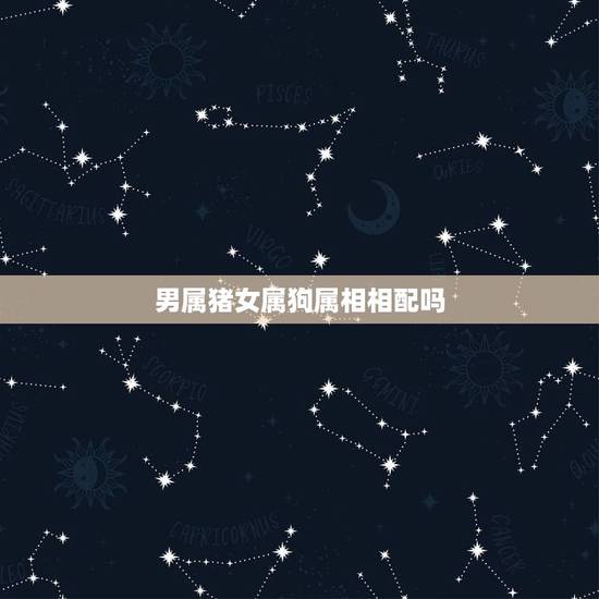 男属猪女属狗属相相配吗，在风水学上说，男属猪，女属狗适合婚配吗？婚配有