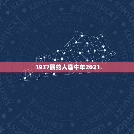 1977属蛇人逢牛年2021,1977属蛇人2021运气 1977属蛇人逢牛年2021,1977属蛇人2021运气