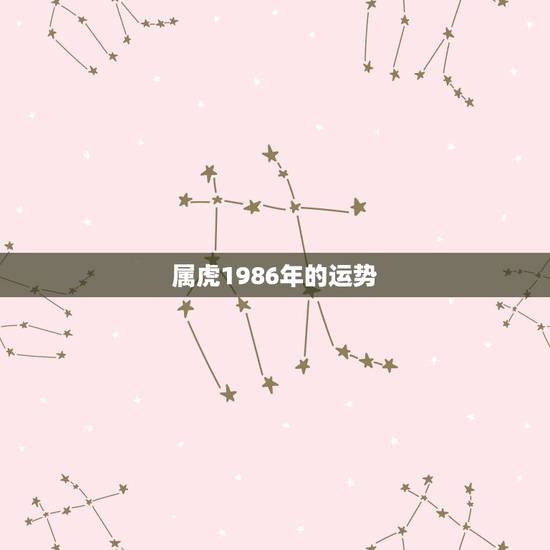 属虎1986年的运势，属虎2022 年运势