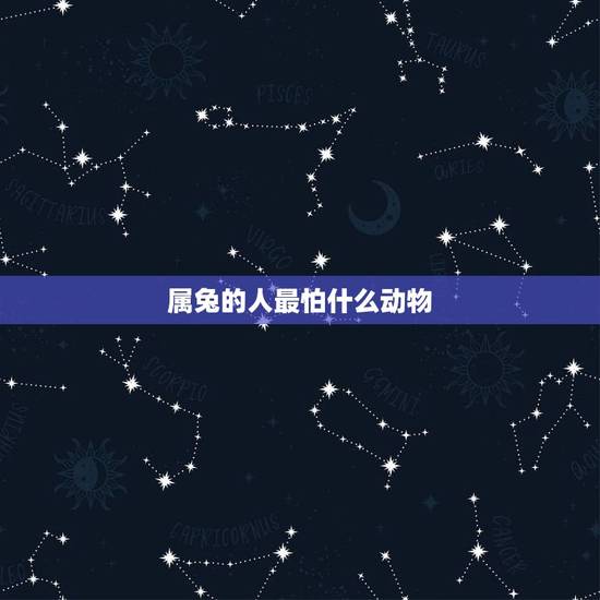 属兔的人最怕什么动物，属兔的三大忌配生肖