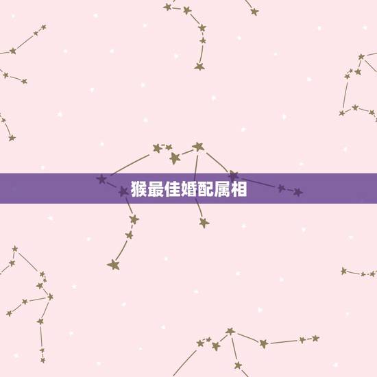 猴最佳婚配属相，猴子跟什么属相最配偶