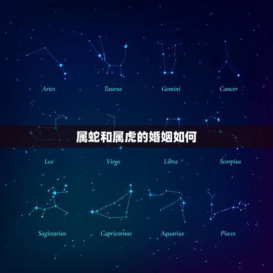 属蛇和属虎的婚姻如何,属蛇和属虎的婚姻如何化解 属蛇和属虎的婚姻如何,属蛇和属虎的婚姻如何化解