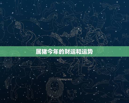 属猪今年的财运和运势，属猪今年运势怎么样？