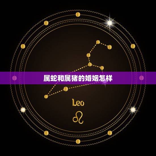 属蛇和属猪的婚姻怎样,属蛇和属猪的人结婚会怎么样 属蛇和属猪的婚姻怎样,属蛇和属猪的人结婚会怎么样