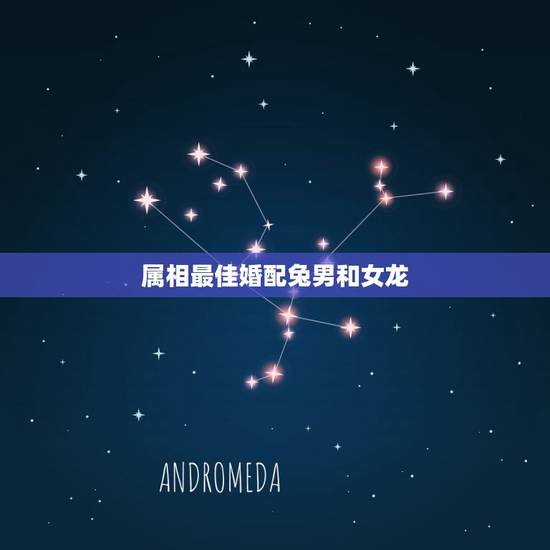 属相最佳婚配兔男和女龙,属龙和属兔的婚姻怎么化解 属相最佳婚配兔男和女龙,属龙和属兔的婚姻怎么化解