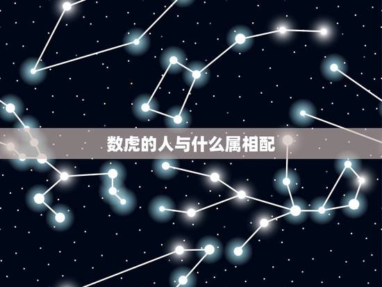 数虎的人与什么属相配,属虎和什么属相最配 数虎的人与什么属相配,属虎和什么属相最配