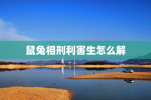 鼠兔相刑利害生怎么解,鼠兔相刑怎么化解 鼠兔相刑利害生怎么解,鼠兔相刑怎么化解