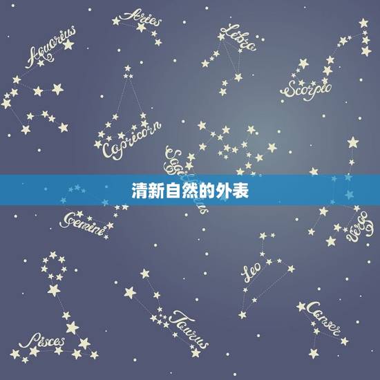 清新自然的外表 清新自然的外表