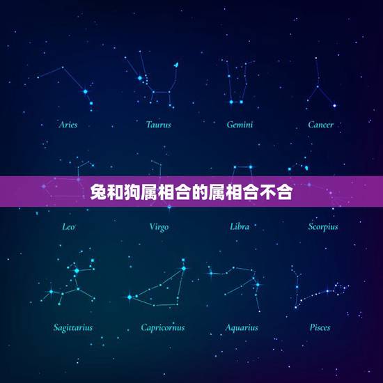 兔和狗属相合的属相合不合,属狗的和属兔的合吗 兔和狗属相合的属相合不合,属狗的和属兔的合吗