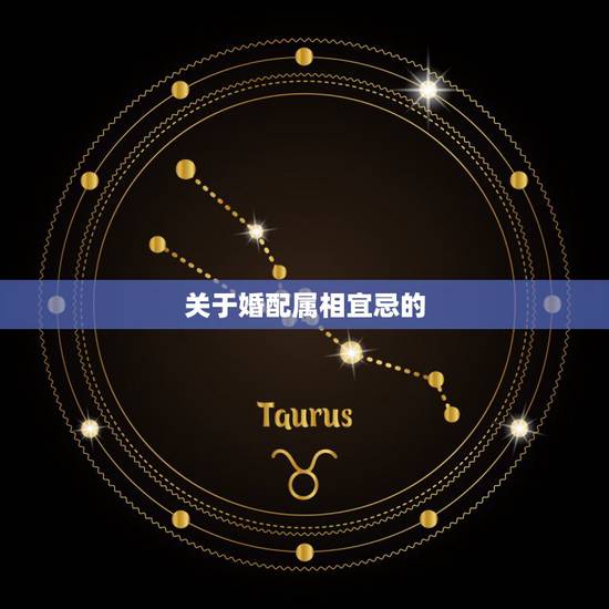 关于婚配属相宜忌的,在风水学上说,男属猪,女属狗适合婚配吗?婚配有什么 关于婚配属相宜忌的,在风水学上说,男属猪,女属狗适合婚配吗?婚配有什么