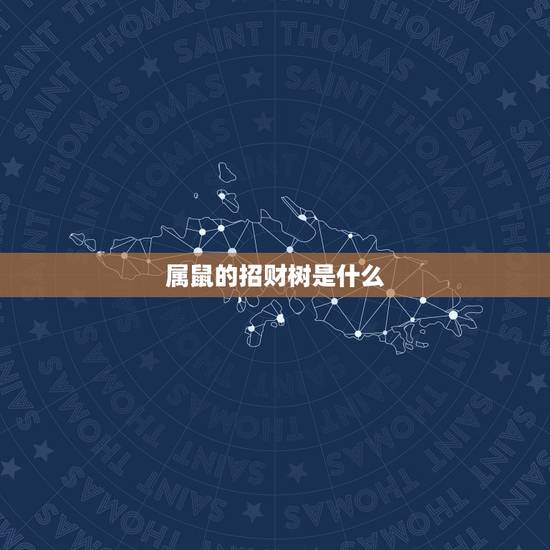 属鼠的招财树是什么,属鼠2022 年运势及运程 属鼠的招财树是什么,属鼠2022 年运势及运程