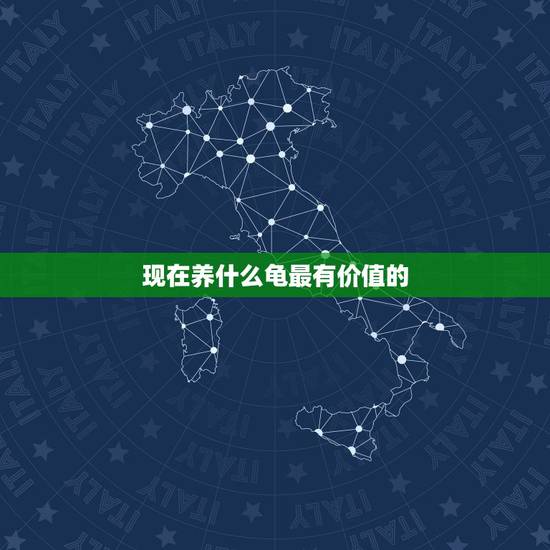 现在养什么龟最有价值的,养什么龟比较有价值? 现在养什么龟最有价值的,养什么龟比较有价值?