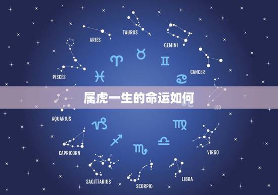 属虎一生的命运如何,属虎命运如何 属虎一生的命运如何,属虎命运如何