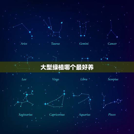 大型绿植哪个最好养，绿植大型绿植哪个好看好养十种家养易养绿色植物