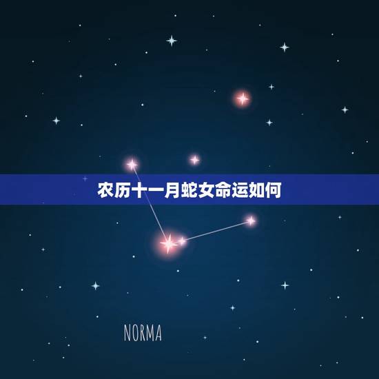 农历十一月蛇女命运如何，属蛇11月出生的女人