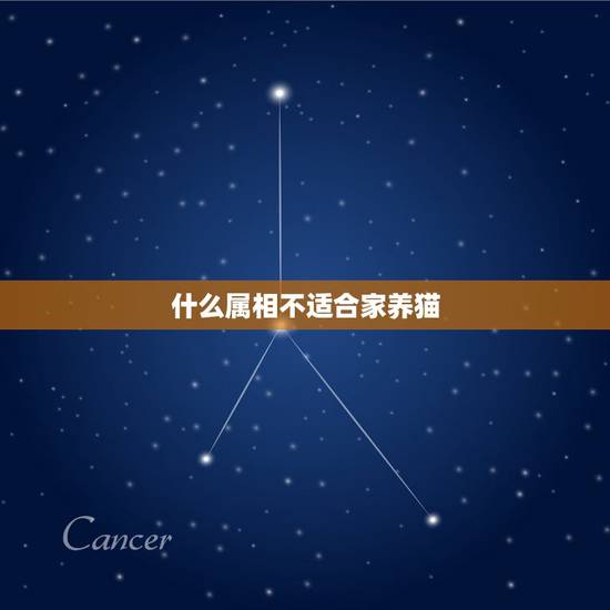 什么属相不适合家养猫,养猫咪也有很大的讲究,知道什么属相的人适合养猫吗 什么属相不适合家养猫,养猫咪也有很大的讲究,知道什么属相的人适合养猫吗
