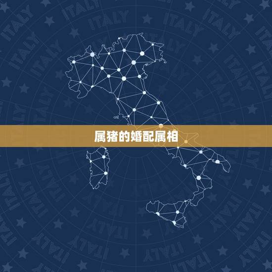 属猪的婚配属相，属相婚配，属猪的和什么属相最配