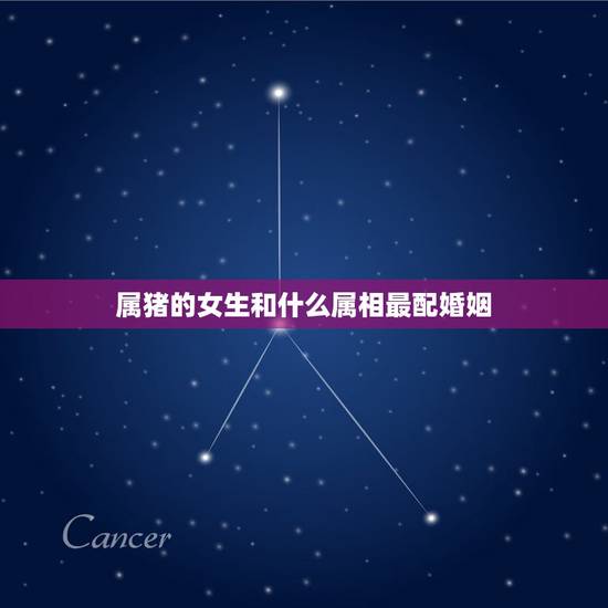 属猪的女生和什么属相最配婚姻，属猪的和什么属相最配